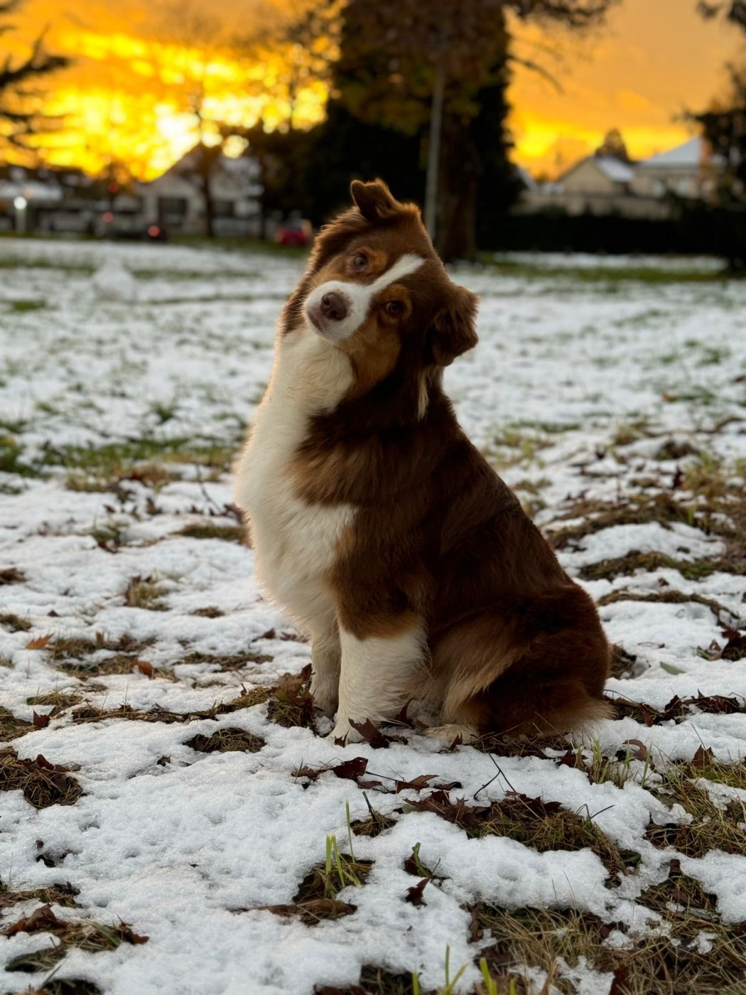 Red Riding Hood du  chemin des korrigans
